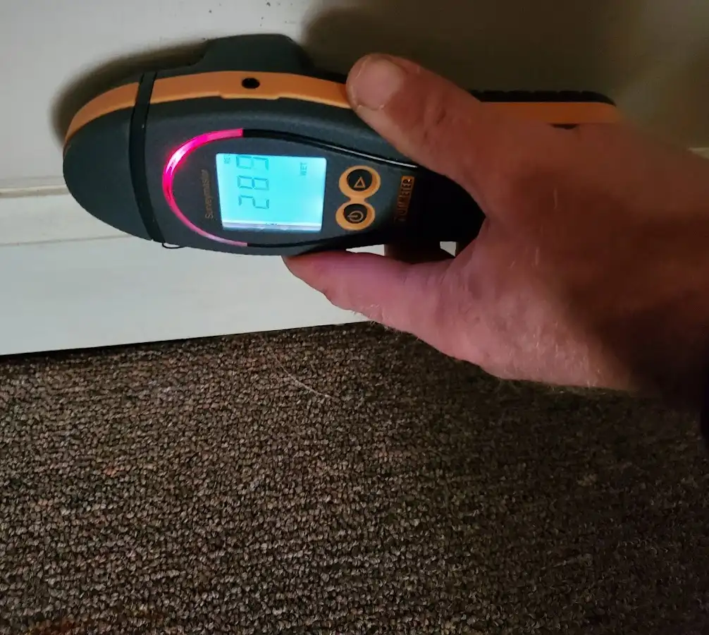 Moisture detection at baseboard during Sewage Cleanup & Sanitation in Fort Dodge